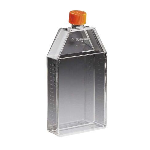 Corning 430825 Polystyrene 210mL Rectangular Canted Neck Cell Culture Flask with Orange HDPE Vent Cap (Case of 50) in Saudi Arabia