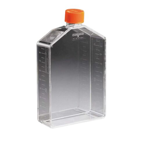 Corning 3293 Polystyrene 370mL Rectangular CellBIND Angled Neck Polystyrene Cell Culture Flask with Vent Cap (Case of 25) in Saudi Arabia