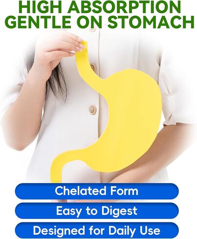 جليسينات المغنيسيوم 500 ملغ لكل كبسولة - 240 كبسولة - مكمل مغنيسيوم عالي الامتصاص للاسترخاء والهدوء ودعم العضلات - لطيف على المعدة - صنع في الولايات المتحدة الأمريكية in Kuwait