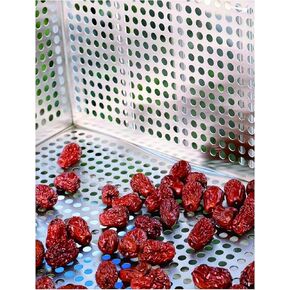 Stainless Steel Perforated Sheet - Decorative Metal Grate for Garden Fence & Balcony Window Anti-Theft Mesh (50x200cm) - Durable, Weather-Resistant Security Solution in Kuwait