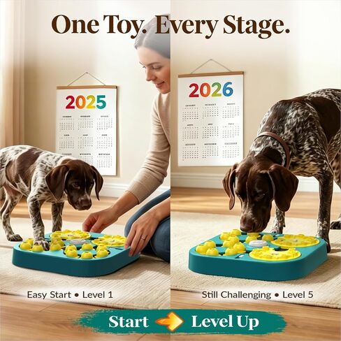 ألعاب الألغاز المتقدمة لـ KADTC للألغام الذكية الصغيرة/المتوسطة/الكبيرة من المستوى 5 في خبير واحد يصعب تحديًا للألغاز التفاعلية. in Kuwait