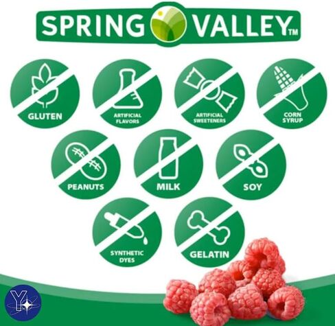 فيتامين ب12 السائل، 5000 ميكروجرام، مكمل التمثيل الغذائي، التوت، 2 أونصة سائلة من سبرينج فالي وهدية مرجعية من يولومولو in Kuwait