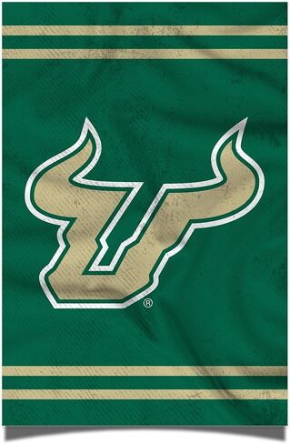 Desert Cactus University of South Florida Poster USF Bulls 11 x 17 Inch Room Office Décor Decoration Official Fan Gear (11x17 inch, Version 3) in Saudi Arabia