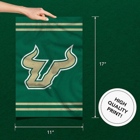 Desert Cactus University of South Florida Poster USF Bulls 11 x 17 Inch Room Office Décor Decoration Official Fan Gear (11x17 inch, Version 3) in Saudi Arabia