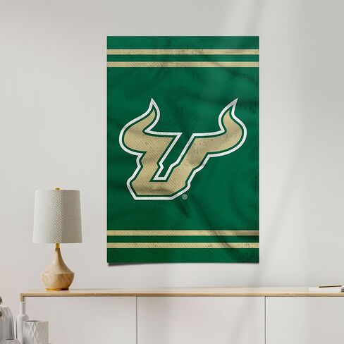 Desert Cactus University of South Florida Poster USF Bulls 11 x 17 Inch Room Office Décor Decoration Official Fan Gear (11x17 inch, Version 3) in Saudi Arabia