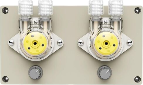 NP02-B10 مضخة تمعجية متعددة الرؤوس 15 مل ~ 90 مل / دقيقة 12 فولت محرك تيار مستمر مضخة جرعات قابلة للتعديل مع رأس مزدوج (المملكة المتحدة) in Kuwait