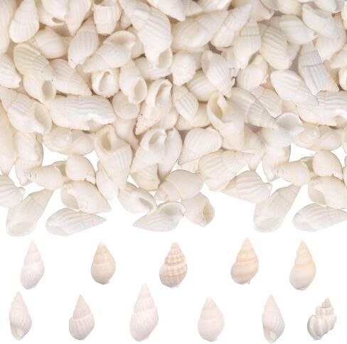 About 1000pcs(200g) Tiny Natural Sea Shells Mixed Spiral Conch Shell Ocean Mini Seashell Bulk Fish Tank Vase Fillers for DIY Crafts Home Outdoor Beach Theme Party Decoration in Kuwait
