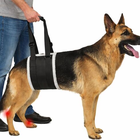 Adjustable Dog Lift Harness – Rear Leg Support Sling for Extra-Large Dogs | Mobility Aid for Senior, Injured & Post-Surgery Pets | Soft, Durable & Comfortable in Kuwait