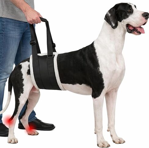 تسخير رفع الكلب القابل للتعديل-دعم الساق الخلفية حبال للكلاب الزائدة جدا | مساعدات التنقل لكبار ، المصابين وما بعد الجراحة الحيوانات الأليفة | ناعم ودائم ومريح in Kuwait