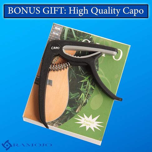 طقم إعداد الجيتار مع حقيبة حمل - مجموعة أدوات الإصلاح والصيانة للجيتار الصوتي والكهربائي، والقيثارة، والباس والبانجو، وقاطع سلسلة ممتاز، ومفتاح ربط متعدد الوظائف مع لباد، وأدوات لوثير in Kuwait