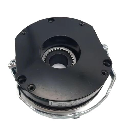 Spring Applied Electromagnetic Clutch Brake with Manual Release SDZ1-30 in Saudi Arabia