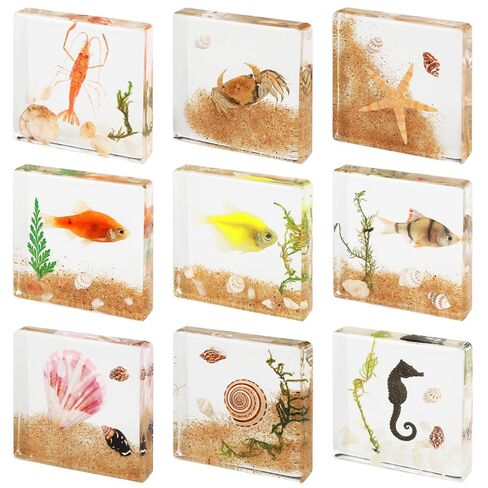 9 قطع من عينات الحشرات الحقيقية في الراتنج، مجموعة حشرات التحنيط، الحشرات الحقيقية والفراشات والخنافس والحشرات في الراتنج، عينات من الأوزان الورقية مع 9 أنماط للديكور العلمي للتحنيط in Kuwait