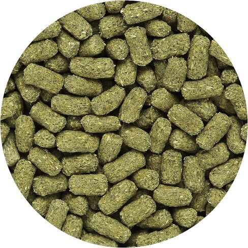 Hikari Mulberific Delite Tortoise Food & Iguana/Herbivorous Lizard Probiotic Pellets (650g) in Saudi Arabia