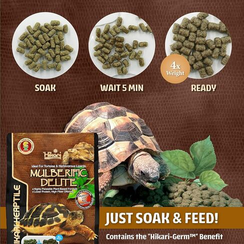 Hikari Mulberific Delite Tortoise Food & Iguana/Herbivorous Lizard Probiotic Pellets (650g) in Saudi Arabia