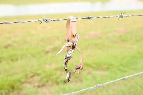 AJ Tack Baby Southwest Show Spurs & Spur Straps Set in Saudi Arabia