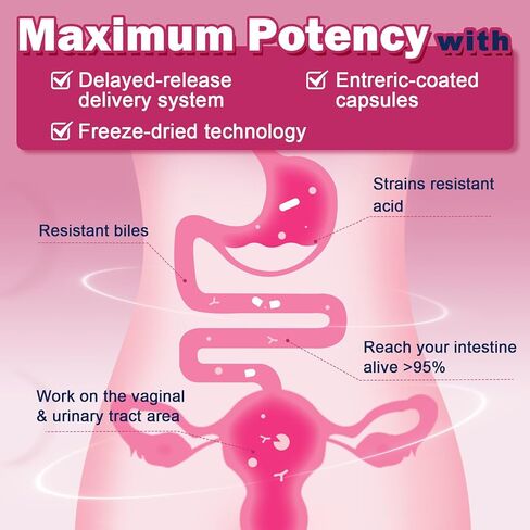 ZEBORA Vaginal Probiotics for Women 100 Billion CFUs, Probiotic for Digestive Health & Vaginal pH Balance & Urinary Tract Health, with Organic Cranberry & Prebiotics, 90 Veggie Capsules in Saudi Arabia