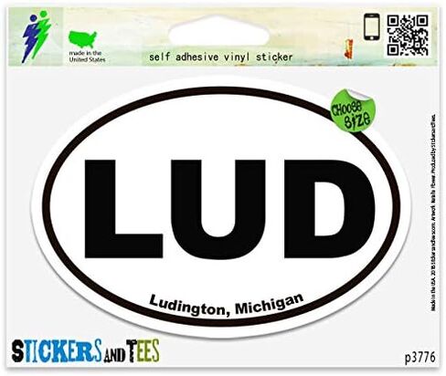 LUD Ludington Michigan Oval Vinyl Car Bumper Window Sticker 3" x 2" in Saudi Arabia