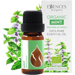 زيت النعناع العضوي العطري 1/3 أونصة سائلة (10 مل) مينثا أرفينسيس - 100% طبيعي نقي وغير مخفف، ناشر روائح علاجية عطرية منعشة وتبريد العضلات وتخفيف التوتر. in Kuwait