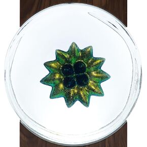 زجاجة سائل مغناطيسي، ملحق لمصباح إيقاع الموسيقى FerFluiX (120 مل) (أحمر وردي) in Kuwait