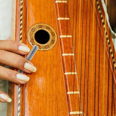 BESPORTBLE 1set Professional Harp Tuning Peg Metal String Pegs for Accurate Sound Retention Stability Includes Harp Fastening Nails Essential Replacement Accessory for Musicians in Saudi Arabia