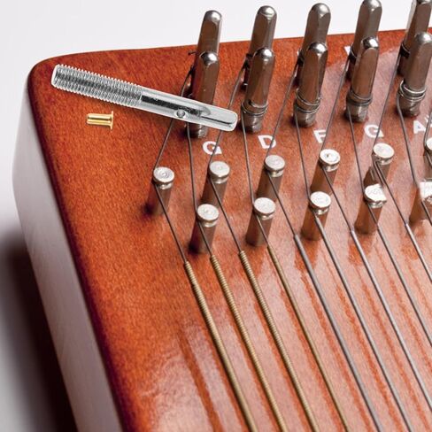 BESPORTBLE 1set Professional Harp Tuning Peg Metal String Pegs for Accurate Sound Retention Stability Includes Harp Fastening Nails Essential Replacement Accessory for Musicians in Saudi Arabia