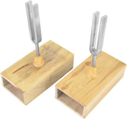 Premium 440HZ Tuning Fork with ChromePlated Finish and Wood Resonator Box for Vibration Experiments and Sound Resonance Demonstrations in Saudi Arabia