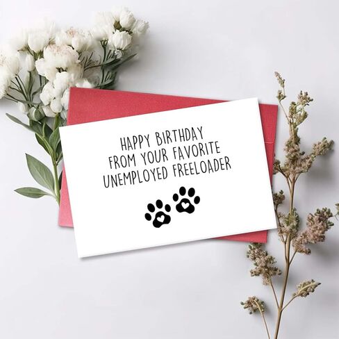 Funny Birthday Card for Dog Mom Dog Dad, Cool Gifts from Dog or Cat, Happy Birthday Card for Boyfriend Girlfriend Pet Parent in Kuwait