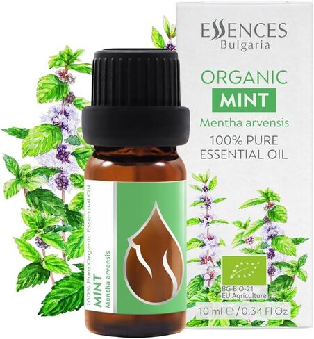 زيت النعناع العضوي العطري 1/3 أونصة سائلة (10 مل) مينثا أرفينسيس - 100% طبيعي نقي وغير مخفف، ناشر روائح علاجية عطرية منعشة وتبريد العضلات وتخفيف التوتر. in Kuwait