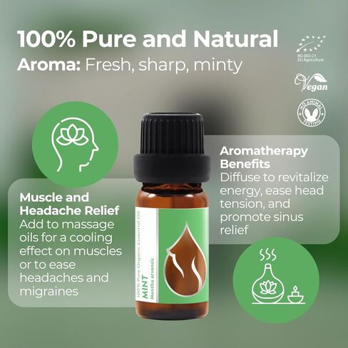زيت النعناع العضوي العطري 1/3 أونصة سائلة (10 مل) مينثا أرفينسيس - 100% طبيعي نقي وغير مخفف، ناشر روائح علاجية عطرية منعشة وتبريد العضلات وتخفيف التوتر. in Kuwait