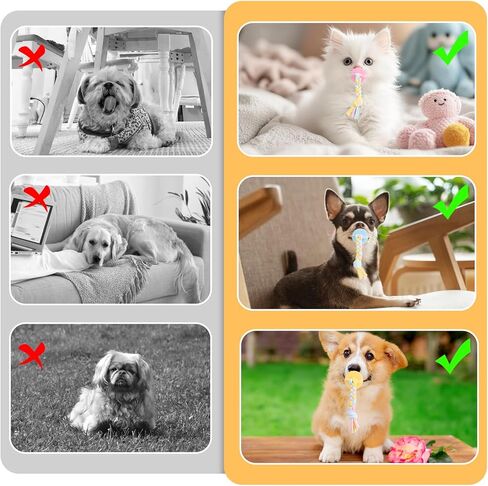 3Pcs Pet Molar Clean Teeth Rubber Toy, Dog Pacifier with Rope, Dog Chew Toys for Aggressive Chewers, Rubber Puppy Pacifier Chewing Playing Training Toys for Small Dogs Cats, 3 Cute Colors in Kuwait