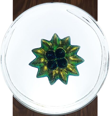 زجاجة سائل مغناطيسي، ملحق لمصباح إيقاع الموسيقى FerFluiX (120 مل) (أحمر وردي) in Kuwait