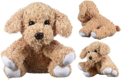 Goldie the GoldEndoodle المحشو بالحيوان وحائز على جائزة الأطفال القصيرة ، قصص القصص القصيرة مع ultra Golden Retriever محشو بالحيوان مع مجموعة القصص القصيرة (الأعمار 3-8) in Kuwait