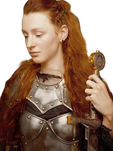 Medieval Knight Female Warrior Armor Cuirass Fantasy Brave Lady Armor Suit, Queen of Armor Costume Medieval Armor Halloween in Kuwait