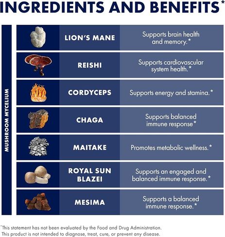 Host Defense Immune Gummies - 7 Species Blend - Mushroom Supplement for Immune Support - Includes Royal Sun Blazei, Cordyceps, Reishi, Maitake, Lion's Mane, Chaga & Mesima - 90 Gummies (30 Servings) in Saudi Arabia