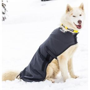 Neewa Weather-Resilient Dog Coat: Ultimate Dog Jacket for Winter and Rain, Cozy Sweater for Small to Large Dogs, Trendy Dog Clothes for Every Season (Large/Black)