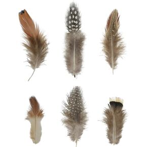 Craft Feathers - Natural Feathers - Loose Real Chicken Feather for Dream Catcher Jewelry Making Hats Crafts by Mandala Crafts 1.25 to 4.25 Inches 180 PCS