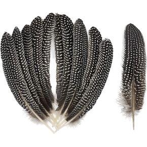 ريش الدراج المرقط التركي الطبيعي لترتيبات الأزهار الحرفية وزخارف حفلات الزفاف المنزلية 6-8 بوصة (20 قطعة) in Kuwait