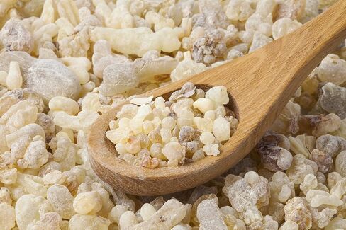Indian Frankincense 100% Pure Natural Gum Organic Aromatic Tear Rock Incense Tree Sap Olibanum Bulk Boswellia Serrata (4 Ounce) in Saudi Arabia