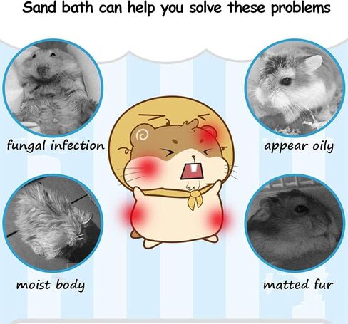 kathson Hamster Bathing Sand with Sandbox Bathroom, Small Animal Cleansing Potty Litter Dust Gerbil Grooming Sand Bath for Dwarf Hamster Gerbil Mouse(B) in Saudi Arabia