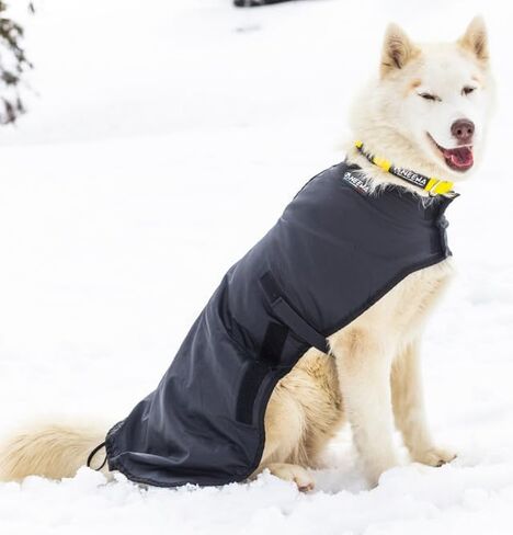 Neewa Weather-Resilient Dog Coat: Ultimate Dog Jacket for Winter and Rain, Cozy Sweater for Small to Large Dogs, Trendy Dog Clothes for Every Season (Large/Black) in Saudi Arabia