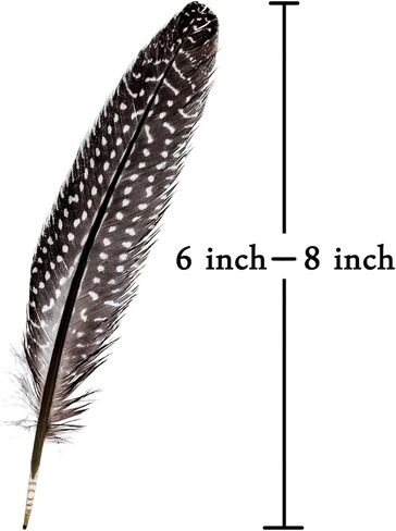 ريش الدراج المرقط التركي الطبيعي لترتيبات الأزهار الحرفية وزخارف حفلات الزفاف المنزلية 6-8 بوصة (20 قطعة) in Kuwait