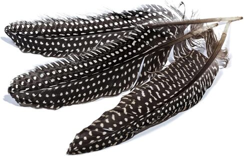 ريش الدراج المرقط التركي الطبيعي لترتيبات الأزهار الحرفية وزخارف حفلات الزفاف المنزلية 6-8 بوصة (20 قطعة) in Kuwait