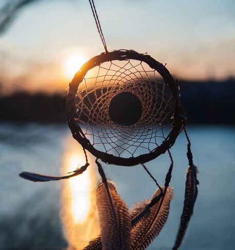 ريش الدراج المرقط التركي الطبيعي لترتيبات الأزهار الحرفية وزخارف حفلات الزفاف المنزلية 6-8 بوصة (20 قطعة) in Kuwait