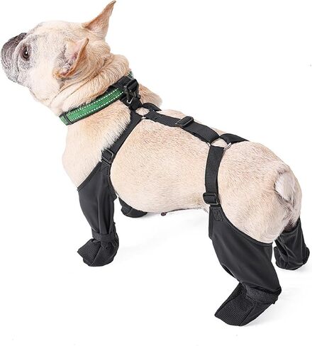 أحذية للكلاب للمشي في الهواء الطلق، أحذية للكلاب مضادة للانزلاق للمطر الثلجي|أحذية بحمالات للكلاب|أحذية للمشي لمسافات طويلة|أحذية للكلاب مضادة للانزلاق|بنطال ضيق لأحذية الكلاب|أحذية للكلاب مقاومة للماء صغيرة in Kuwait