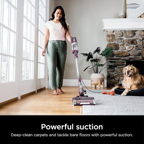 Shark HZ702 Ultralight PetPro Corded Stick Vacuum with PowerFins HairPro Odor Neutralizer Technology, Crevice & Upholstery Tool, Precision Duster, Wine Purple (Renewed) in Saudi Arabia