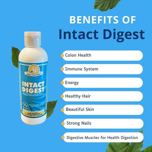 Intact Digest with Nutri-Mastic – Ionic Mineral & Mastic Gum Supplement – Supports Digestion, Nutrient Absorption, Detox, Muscle Cramping, Hydration & Immune Health – 8 fl oz in Saudi Arabia