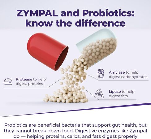 Pancreatic Digestive Enzymes 10,000 Lipase USP Units – High-Potency Pancreatic Digestive Enzyme Supplement for Gas, Bloating & Indigestion Relief– Gut Health & Nutrient Absorption– 50 Capsules in Saudi Arabia