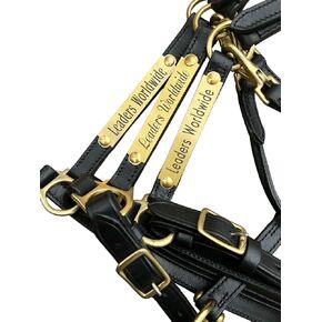 Leaders 3/4" Leather Halter for Horses with Customized Engraved Name Plate Black Leather with Solid Brass Hardware in Kuwait