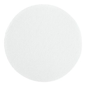 Whatman 1827-240 Glass Microfiber Binder Free Filter, 1.5 Micron, 3.7 s/100mL Flow Rate, Grade 934-AH, 24.0cm Diameter (Pack of 100) in Saudi Arabia