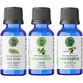 مجموعة الزيوت العطرية للناشر - شجرة الشاي والنعناع والأوكالبتوس، زيوت عطرية نقية 100% غير مخففة، 1 أونصة سائلة لكل منها، 3 عبوات in Kuwait
